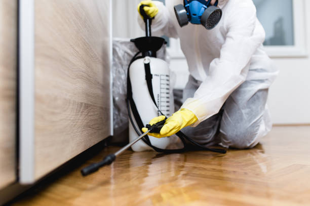 Best Exterminator Services  in Grapeland, TX