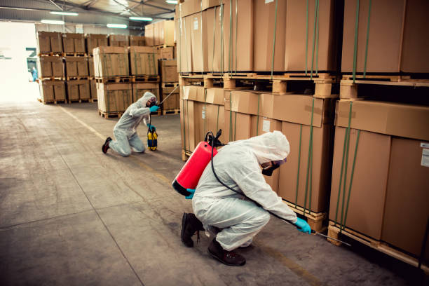 Best Bed Bug Extermination  in Grapeland, TX