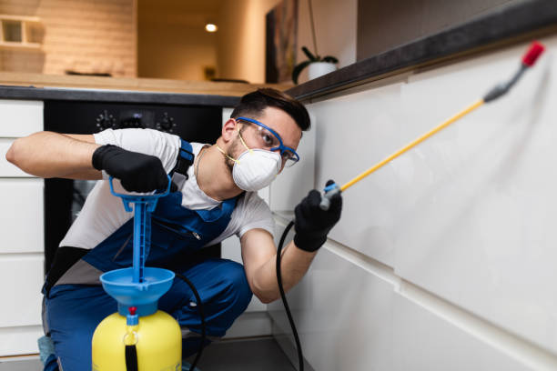 Best Commercial Pest Control Services  in Grapeland, TX