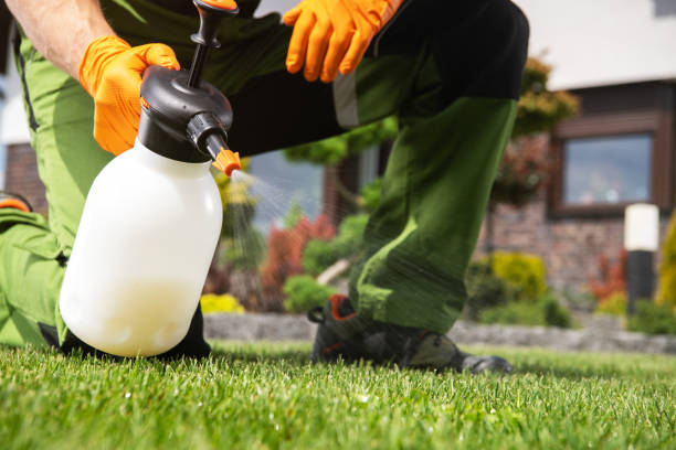 Best Residential Pest Control  in Grapeland, TX