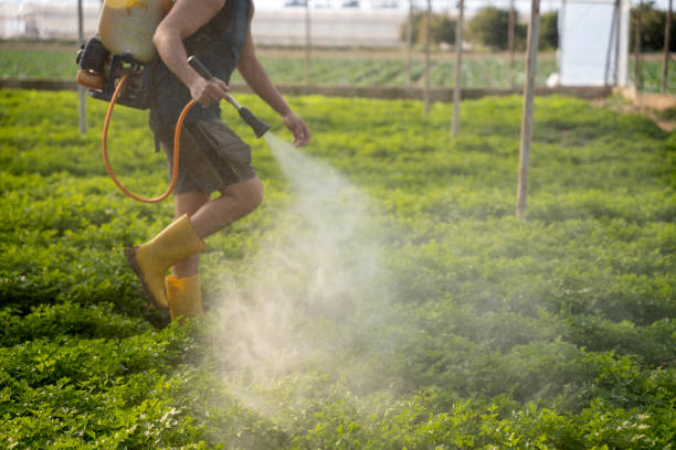 Pest Control Cost in Grapeland, TX